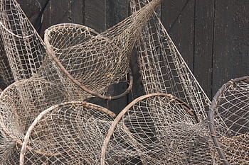 Royalty-free commercial fishing net photos free download