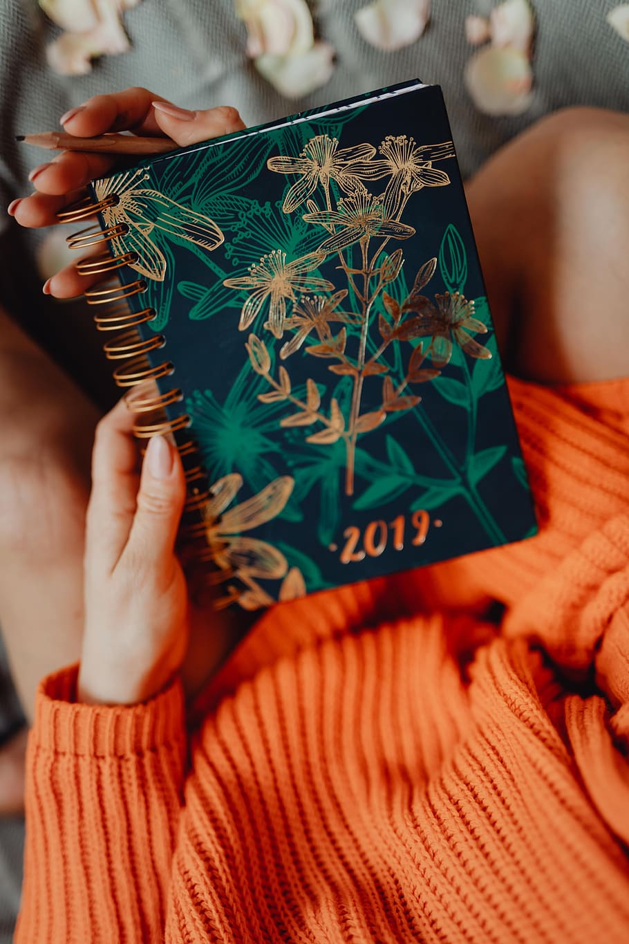 calendario, cuaderno, mujer, 2019, naranja, organizador, suéter, agarraderas, manos, mano humana