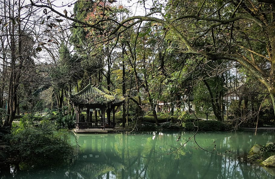 água, árvores, ramos, verde, natureza, pavilhão de jade, dujiangyan, sichuan, china, árvore