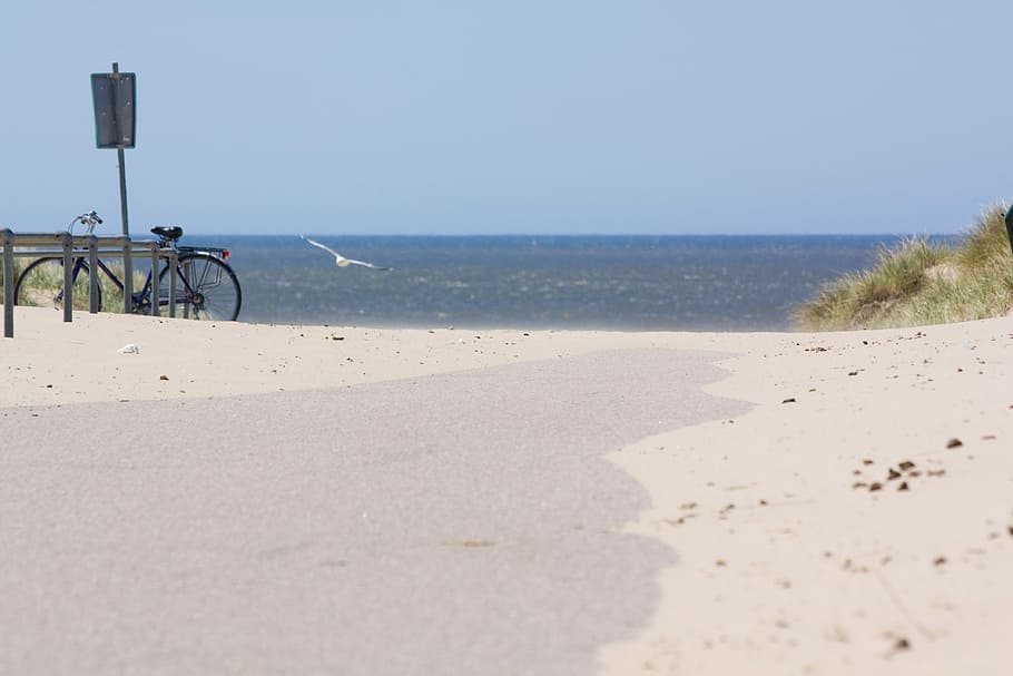 Beach, Dune, North Sea, Sand, Sea, Bike, sand, sea, seagull, away, gone with the wind