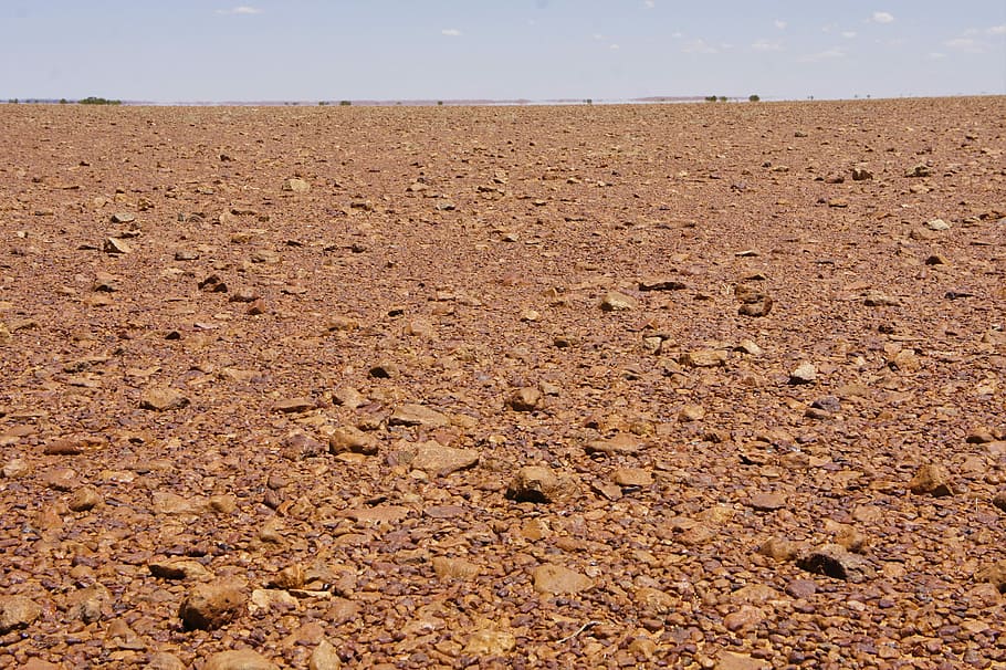 Deserto de Simpson, Gibber Plain, Silcrete, quente, perigoso, marrom, dia, natureza, agricultura, ninguém