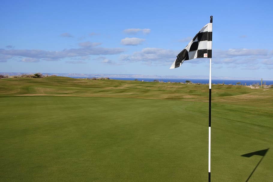 Ouro, grama, verde, campo, bandeira, acabamento, campo de golfe, golfe, esporte, bandeira de golfe