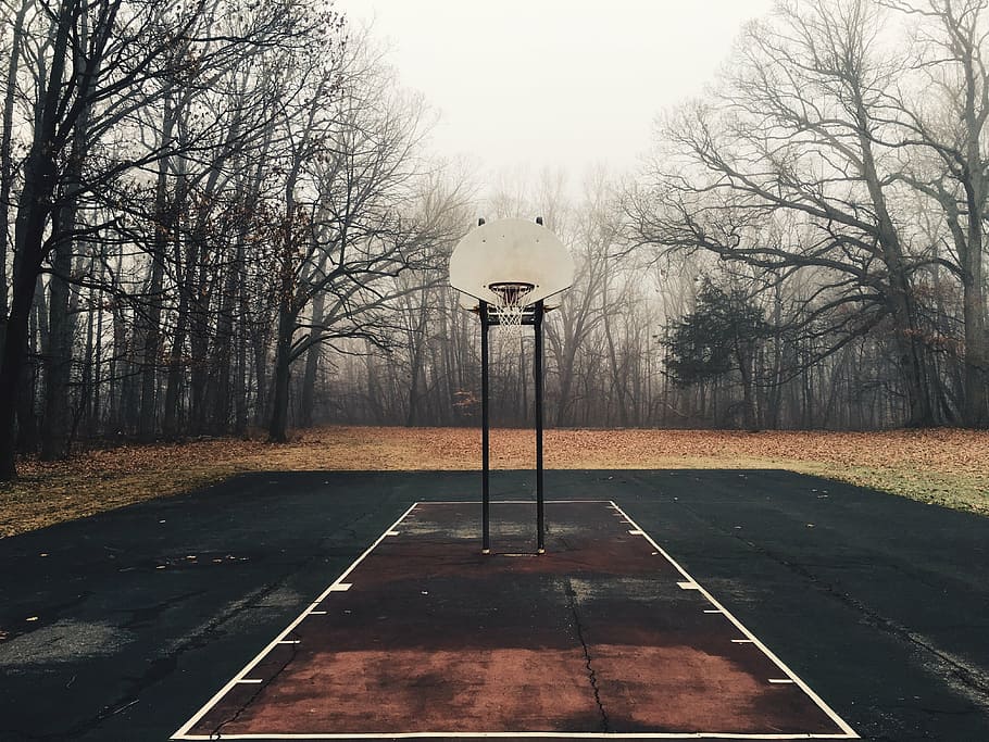 basketball court, black, white, basketball, hoop, court, near, trees, net, hoops