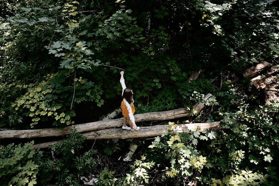 girl, balance beam, stroll, forest, hair, mood, logs, nature, sun, summer