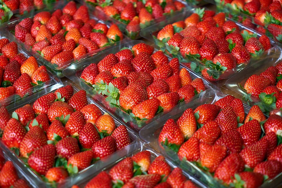 strawberry, macro, red, fresh, fruit garden, healthy, fruit, beautiful, background, close-up