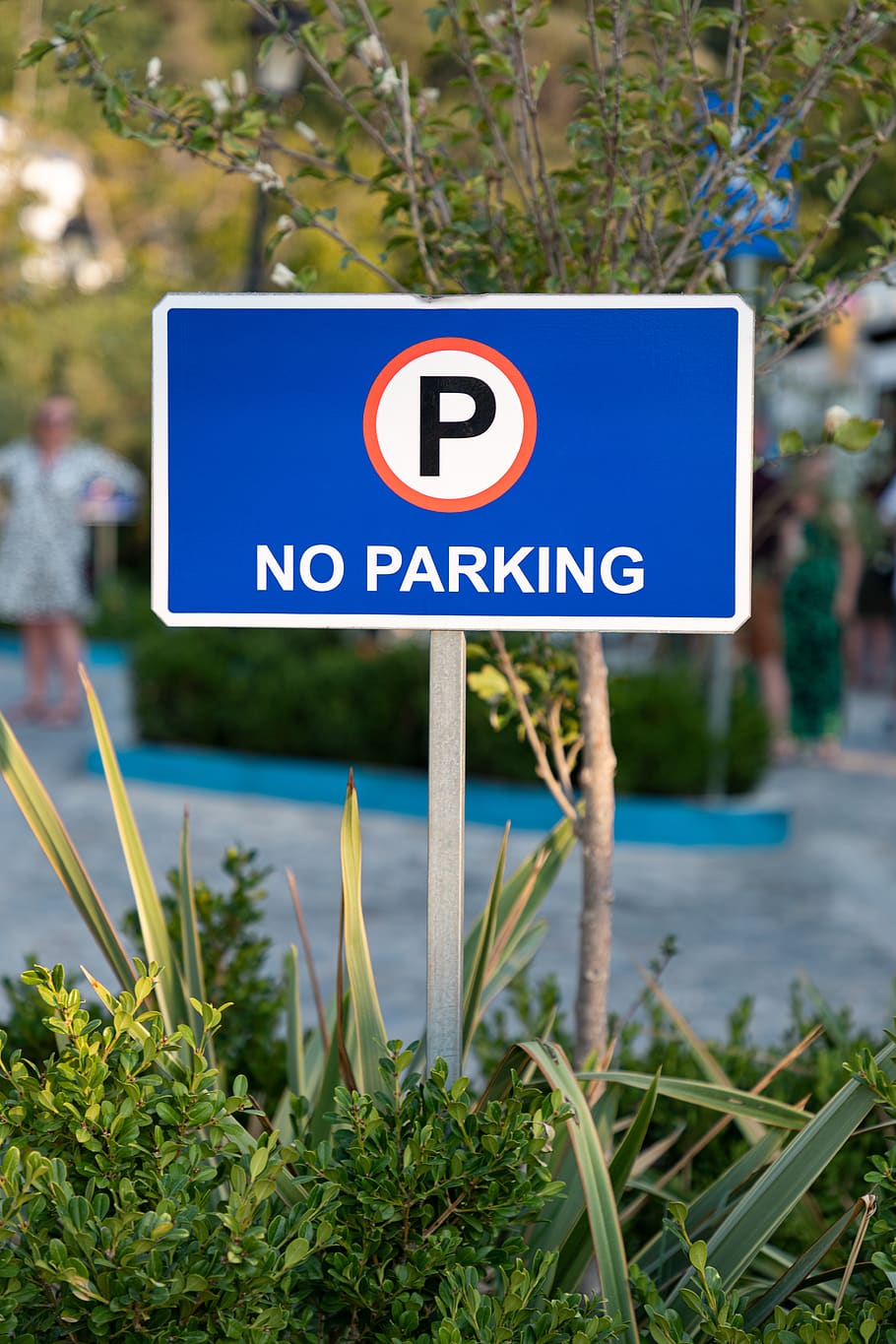dilarang parkir, tidak, parkir, papan, rambu lalulintas, larangan, gebodsbord, indikasi, peringatan, waspada