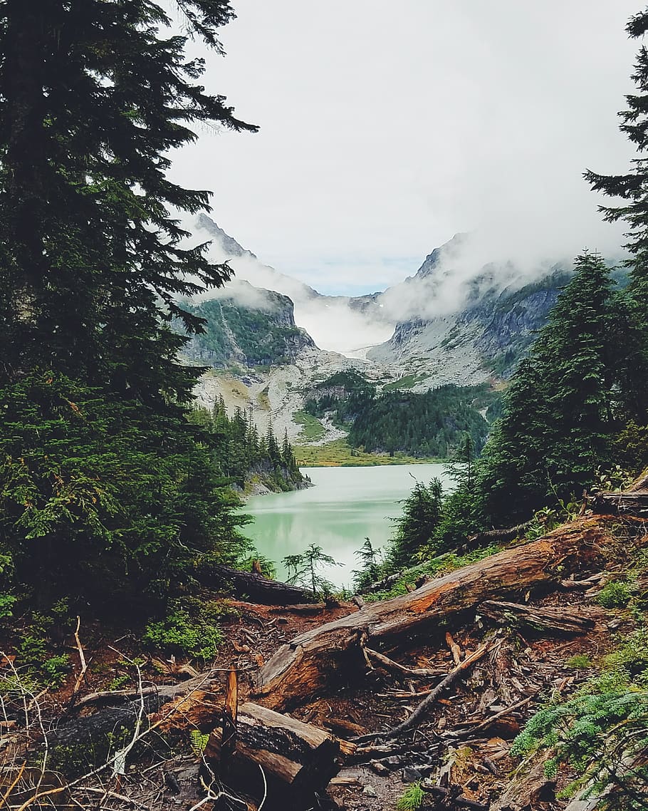 mountain, trees, lake, water, nature, sky, clouds, woods, grass, tree
