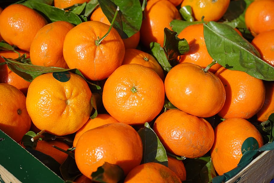 basket, orange, fruit, clementines, vitamins, clementine, citrus × aurantium, hybrid, citrus, citrus fruit