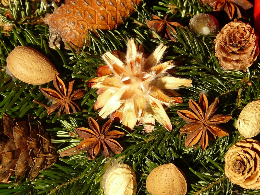 Advent Wreath, Seeds, Ornament, silver seed, dried flowers, decoration, leucospermum, protea, star anise, fruit