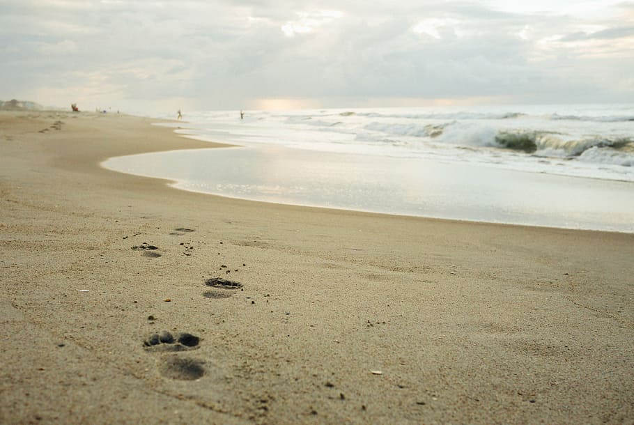 foto, orilla, huellas, cuerpo, agua, playa, durante el día, arena, océano, mar