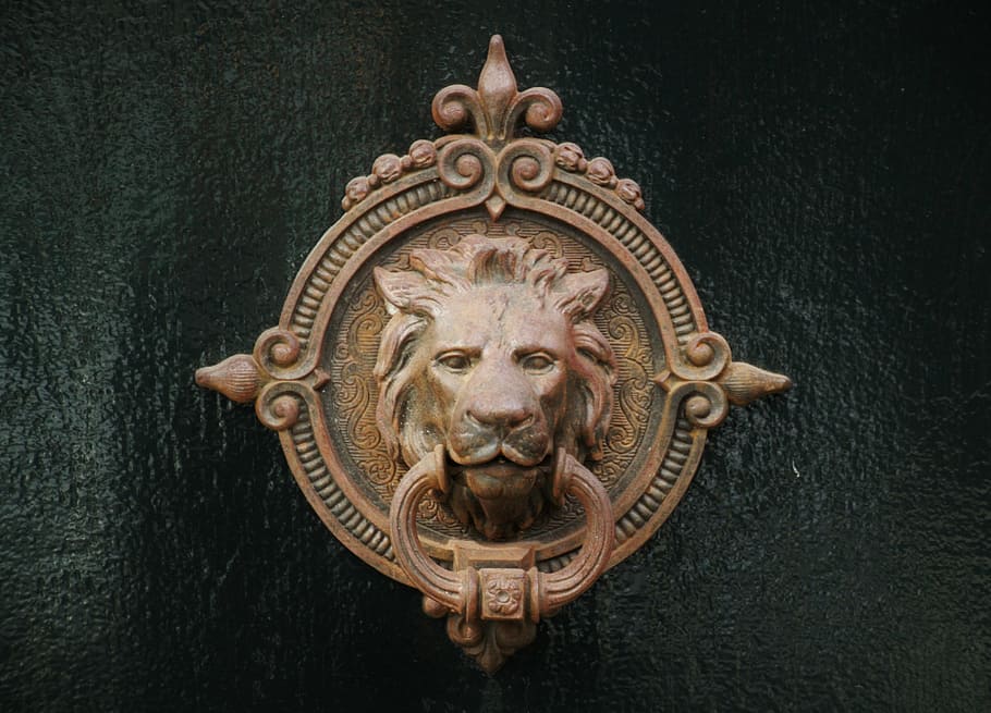 copper-colored lionhead door-knob, door handle, door, door lock, doorknocker, brass, metal, close door handle, door knob, close