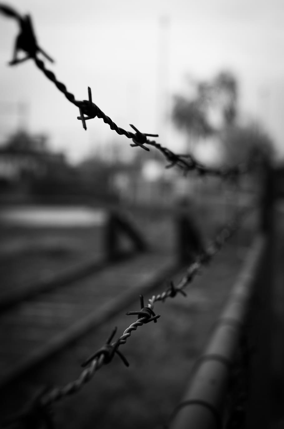 barbed wire, barb wire, black and white, fence, boundary, barrier, safety, wire, protection, security