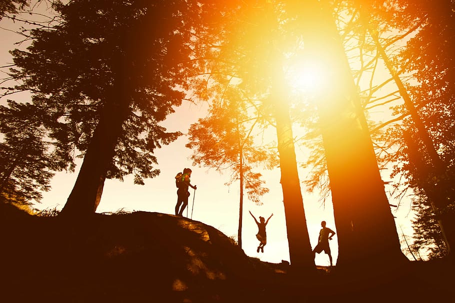 tres, personas, árboles, puesta de sol, persona, pico, montaña, senderismo, escalada, chicas