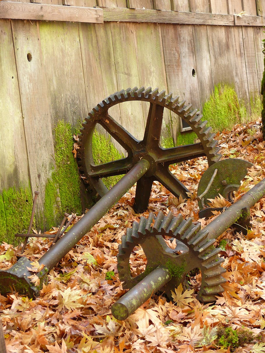 cogs, cogwheels, leaves, foliage, weathered, grist mill, machine, machinery, iron, metal