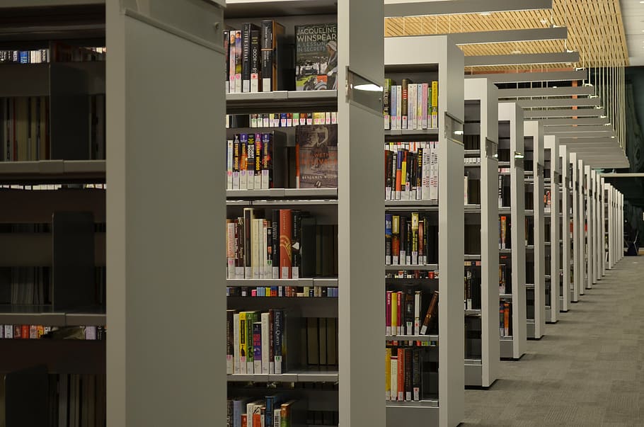 view, bookshelves, inside, room, cornell university, library, shelves, books, interior, education