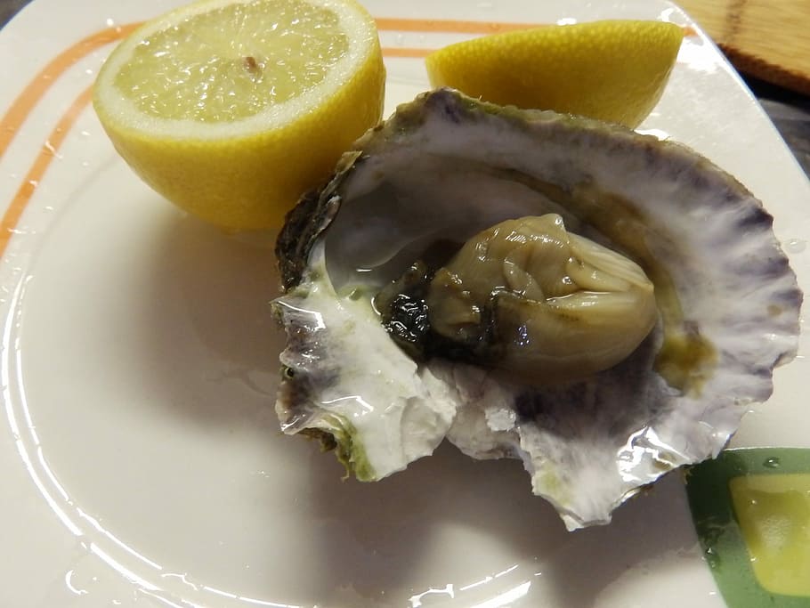 Oyster, Fruits, Sea, food and drink, drink, indoors, healthy eating, food, fruit, freshness
