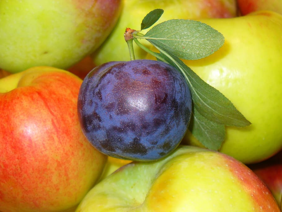 apel biru, buah-buahan, pangkas, apel, makanan, organik, sehat, manis, vegetarian, vitamin