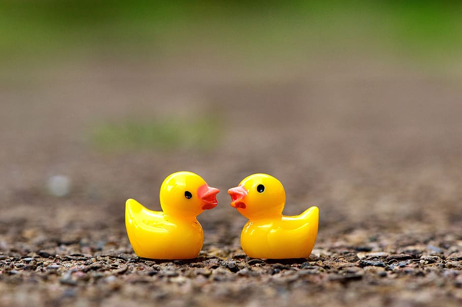 two, rubber ducklings, ground, Ducky, Figures, Cute, Deco, funny, decoration, ducks
