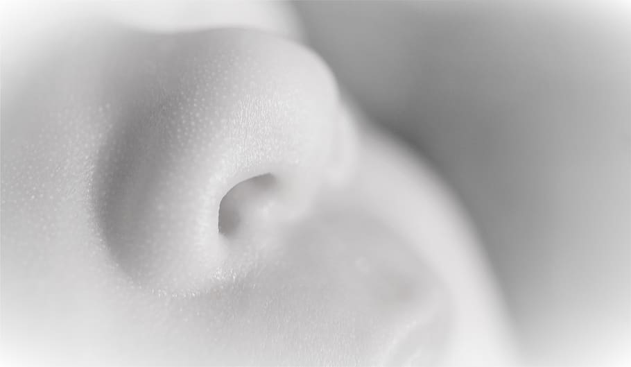 nose, baby, infant, newborn, smell, sense, upper lip, mouth, close up, black and white