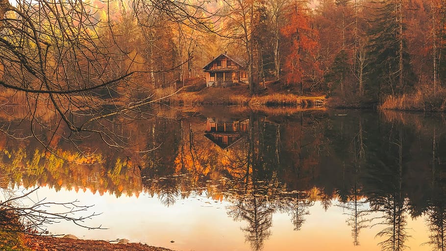 brown, wooden, cabin, along, side body, water, middle, woods, italy, autumn