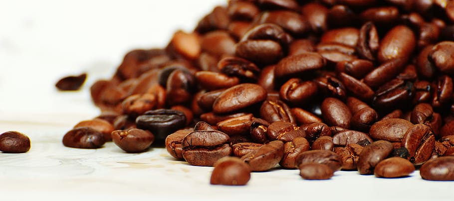 branco, superfície, Grãos de café, Café, Torrado, cafeína, aroma, feijão, torrefação de café, aromático
