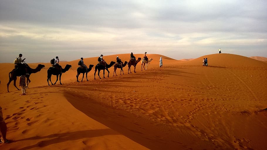 group, people, riding, camels, crossing, desert, daytime, caravan, safari, dune