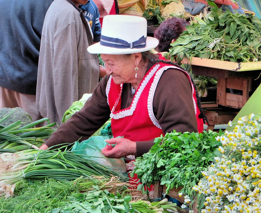 wanita yang menjual sayuran, Cuenca, Ekuador, pasar, petani, kostum tradisional, orang dewasa senior, kesegaran, pria, eceran
