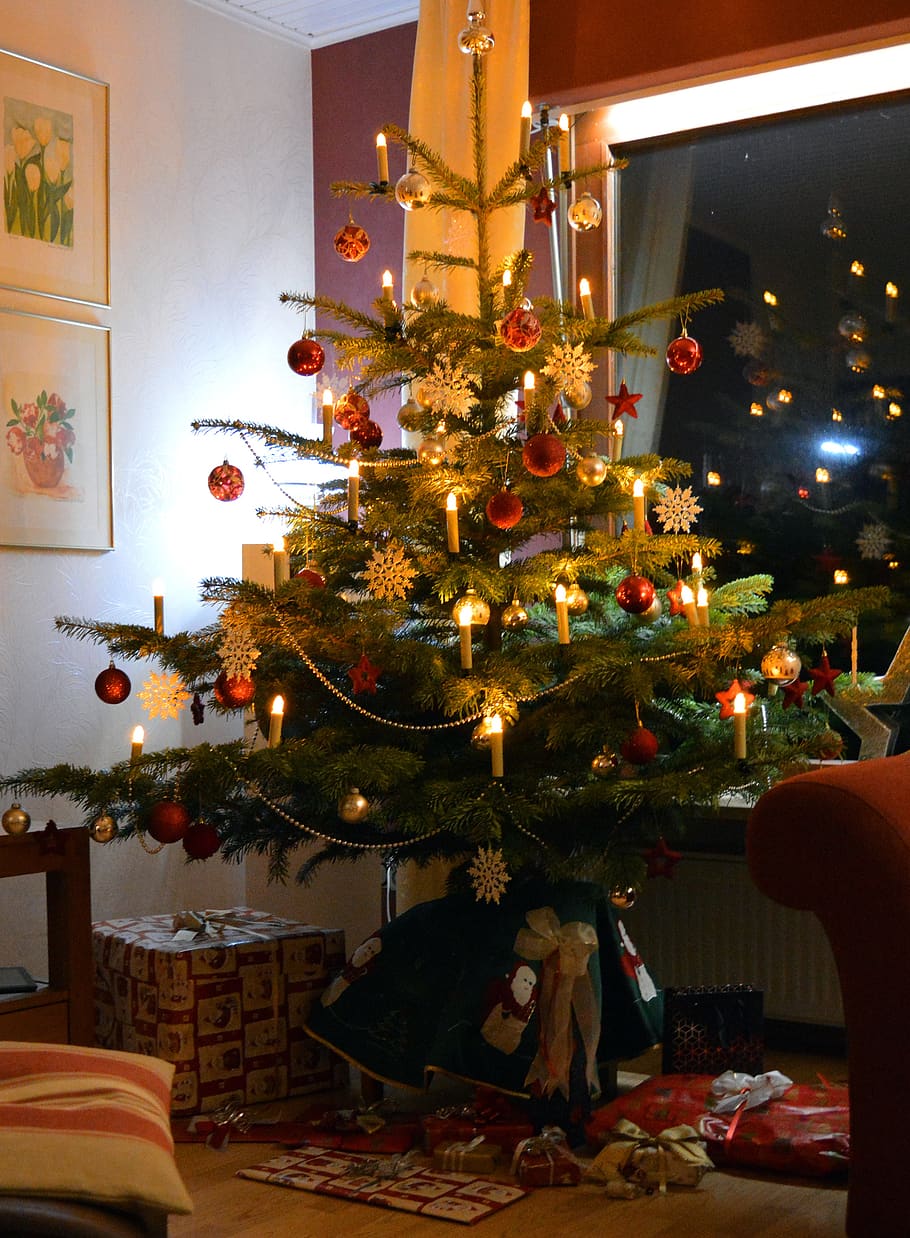 natal, hiasi, hadiah, ruang natal, malam natal, pohon cemara, dekorasi, pohon natal, sungguh-sungguh, perayaan