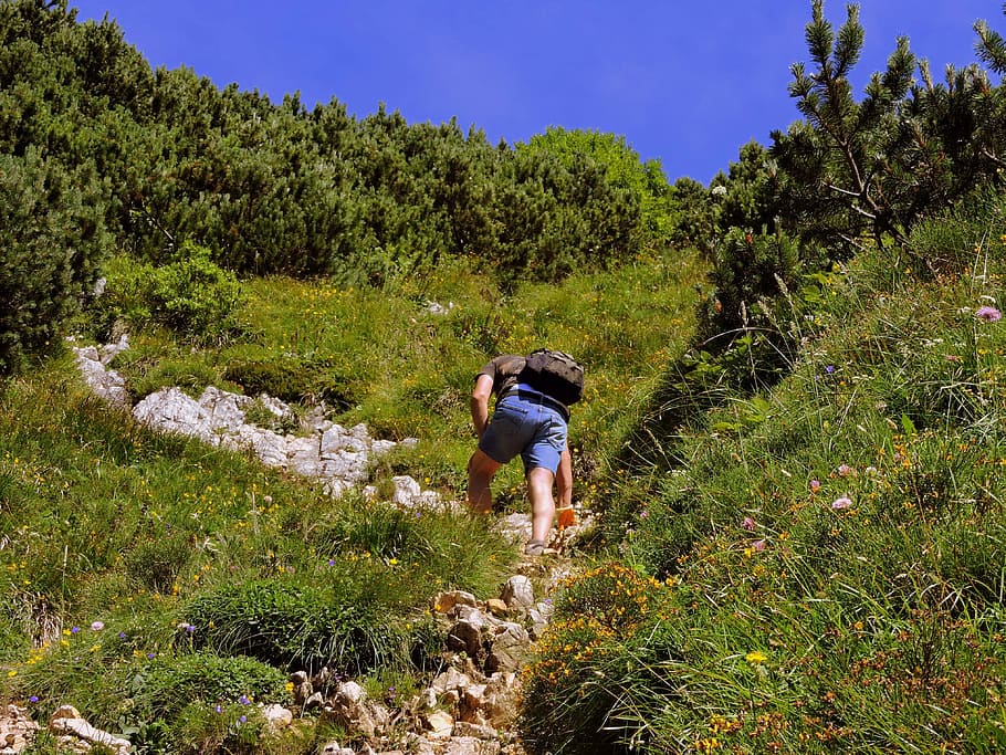 pendakian, berjalan, jejak, gunung, hiking, rumput, hijau, kelelahan, tanaman, aktivitas rekreasi