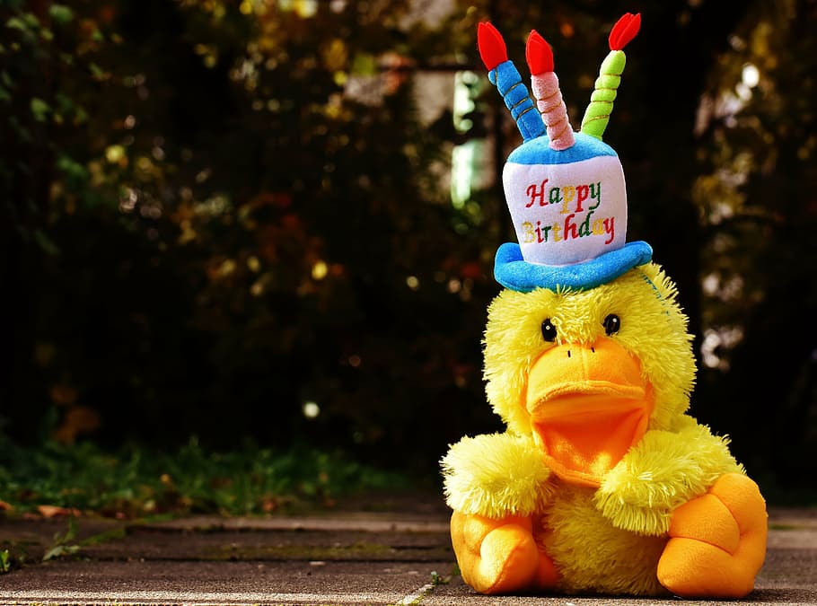 feliz, pato de cumpleaños, felpa, juguete, marrón, madera, superficie, cumpleaños, felicitaciones, pato
