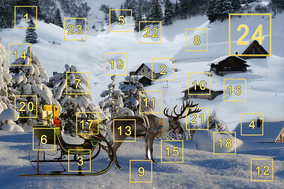brown, reindeer, sleigh, neat, green, trees, snow, advent calendar, christmas, christmas time