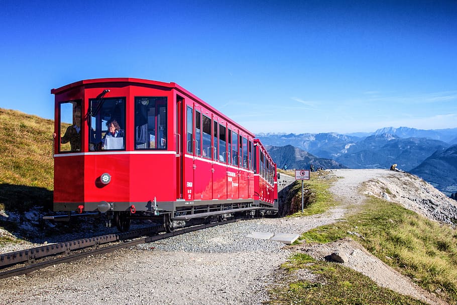 Ovelhas, Schafberg Railway, alpino, estação de montanha, montanhas, cremalheira, salzkammergut, panorama, áustria, trem