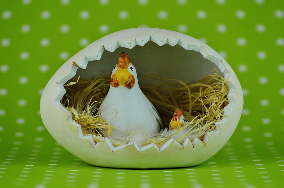paskah, telur, berwarna-warni, ayam, selamat paskah, telur berwarna-warni, telur paskah, dekorasi paskah, salam paskah, kesenangan