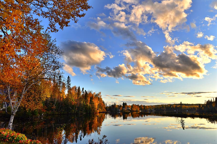 秋, 秋の風景, 紅葉, 木, 葉, 色, 秋の色, 雲, 湖, 反射