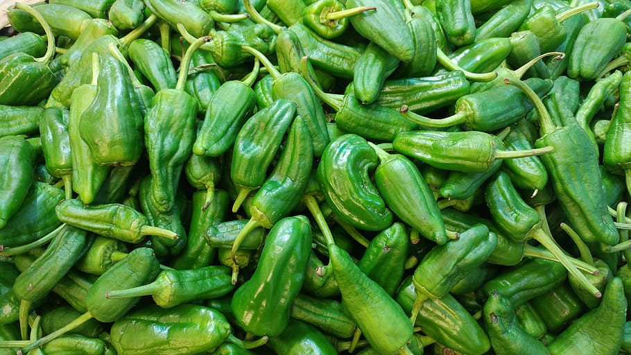 padron, peppers, spanish, green, tapas, food, vegetable, freshness, organic, healthy Eating