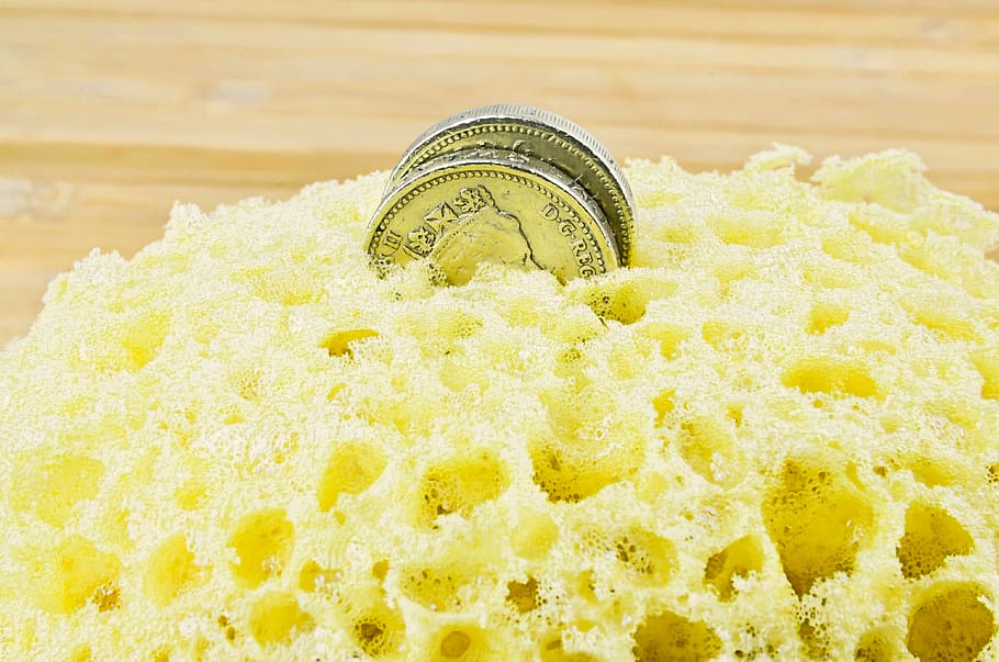 sponge for washing, sponge, cleaning, washing, bathroom, coin, money making, the greenback, the cost of cleaning, indoors