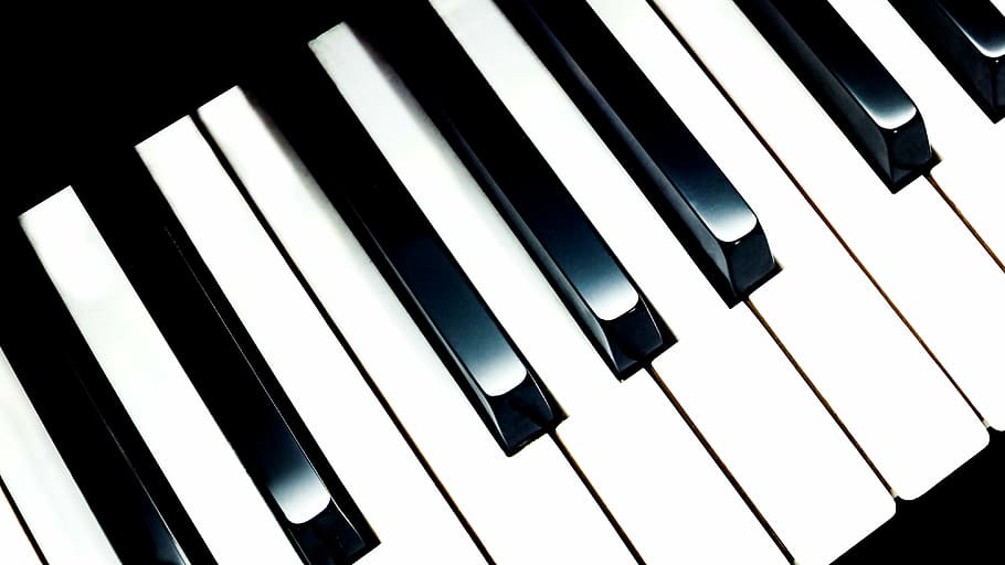 hitam, putih, keyboard piano, musik, instrumen, piano, kunci, suara, musisi, pianis