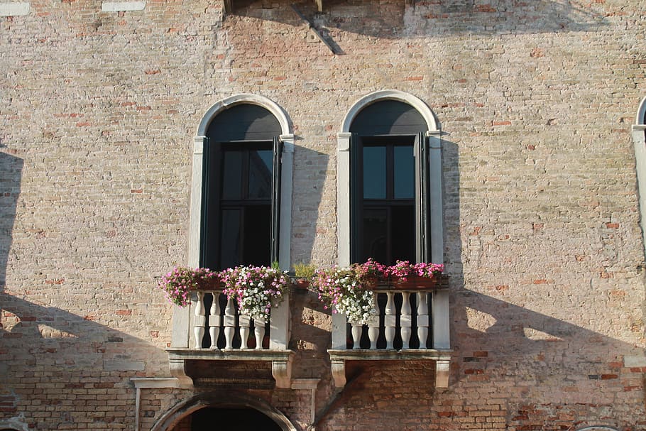 window, flowers, white, old building, old town, venice, flower box, shutter, deco, home