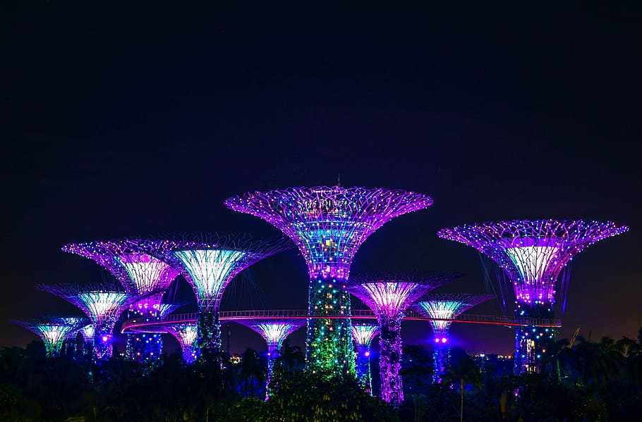 púrpura, led, torres, noche, ciudad, parque, singapur, luces, iluminado, al aire libre