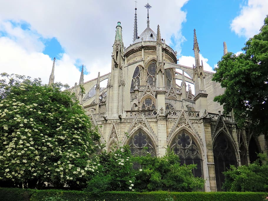 paris, notre-dame, cathedral, bedside, square, flying buttresses, perspective, architecture, built structure, plant