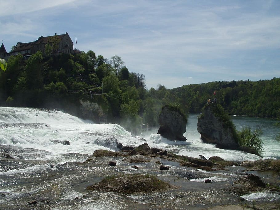 Rhine Falls, Schaffhausen, rhine, waterfall, river, germany, water, nature, day, outdoors