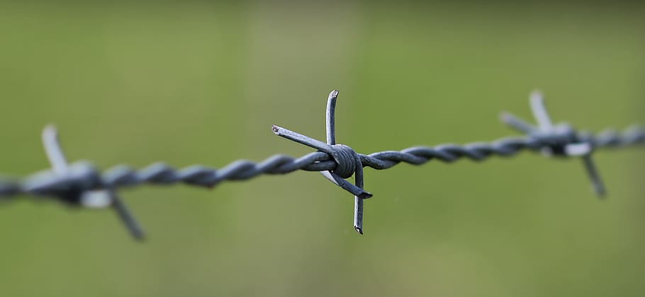selective, focus, gray, burb wire, barbed wire, pasture fence, fence, demarcation, wire, pasture