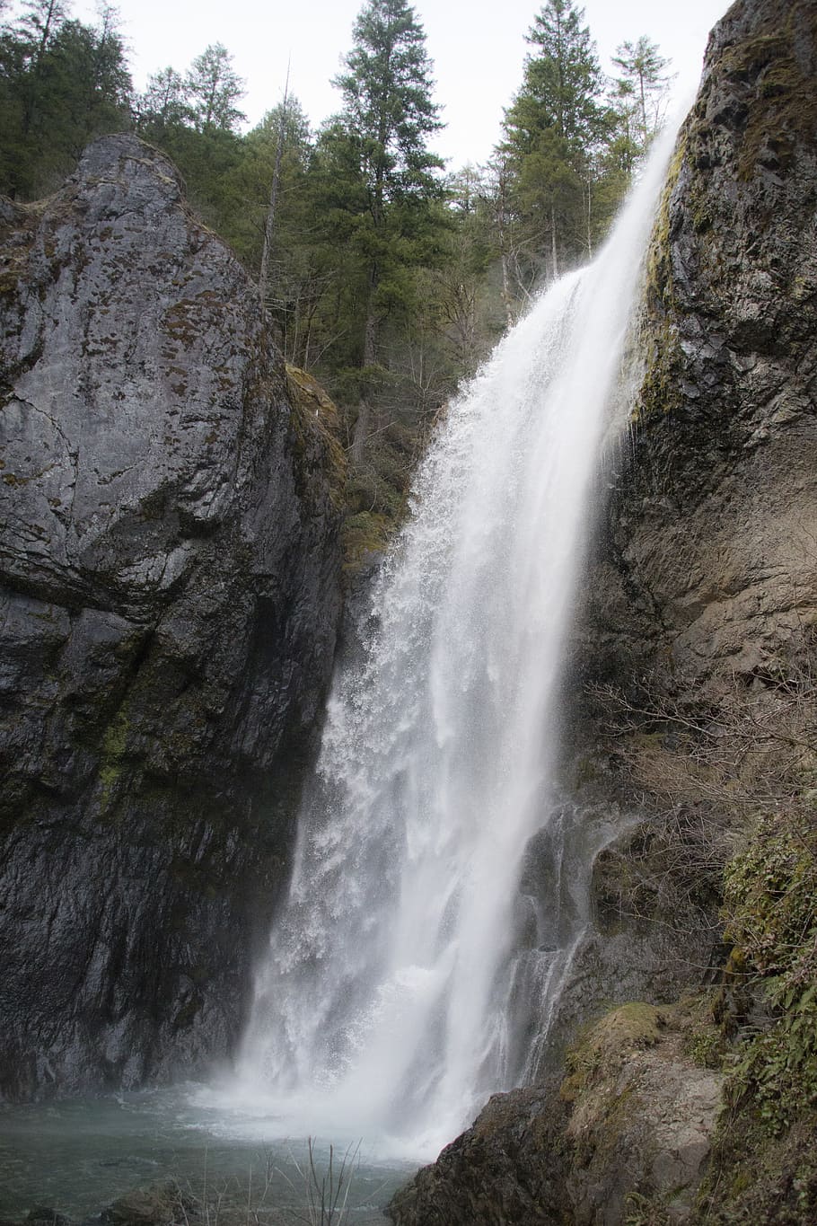Falls, Oregon, waterfall between forest, scenics - nature, rock, water, beauty in nature, waterfall, rock - object, solid