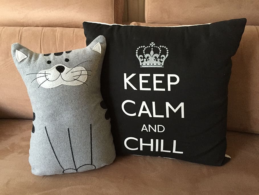 con tema de gato, negro, almohadas, marrón, sofá, almohada, relajarse, mantener la calma, gatito, gato