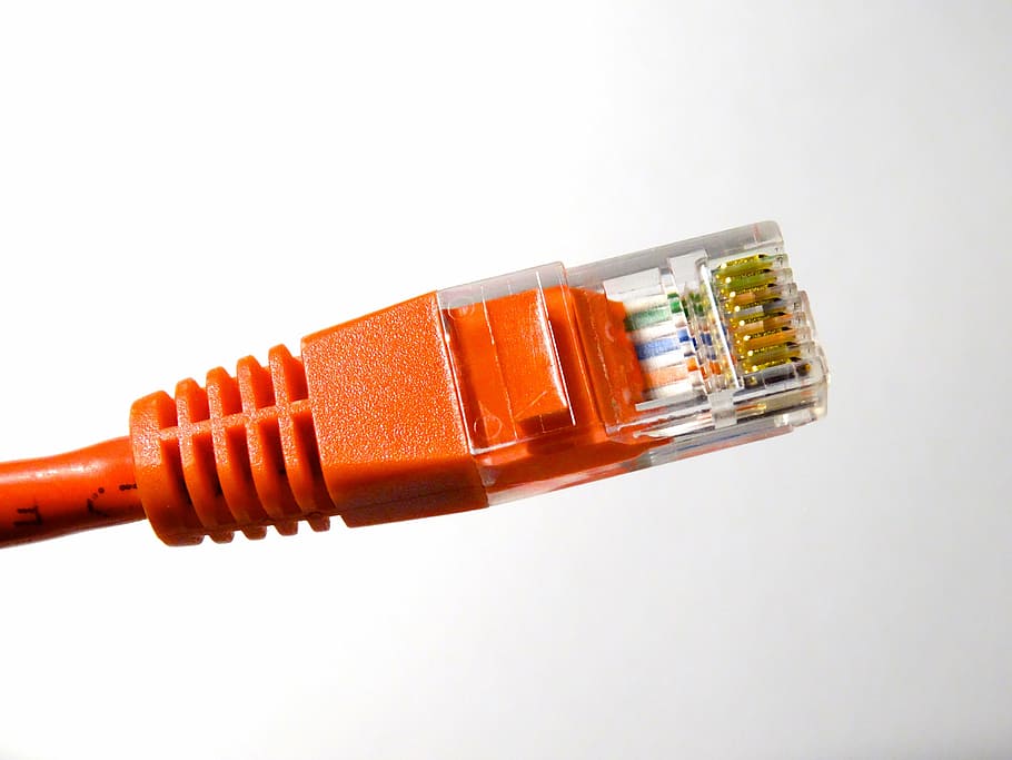 orange ethernet cable, lan connector, connection, lan, www, internet, intranet, data cable, data transfer, network