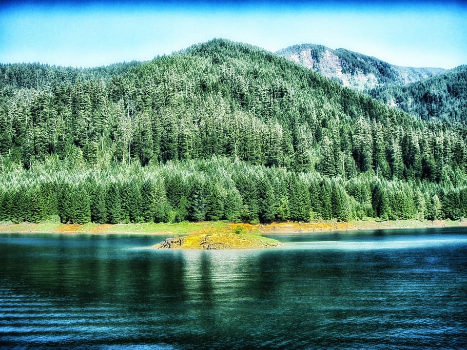 cougar reservoir, oregon, mountains, landscape, scenic, water, reflections, hdr, forest, trees