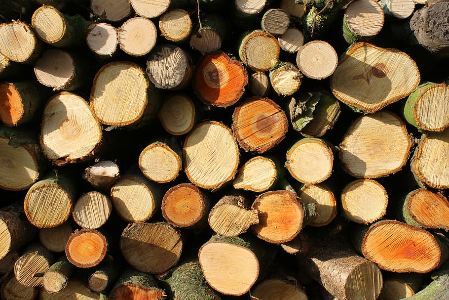 pile, brown, logs, wood, firewood, tree, timber, natural, fire, nature