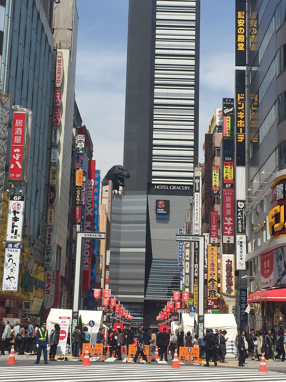 bill, city, shinjuku, japan, tokyo, building, skyline, town, intersection, street