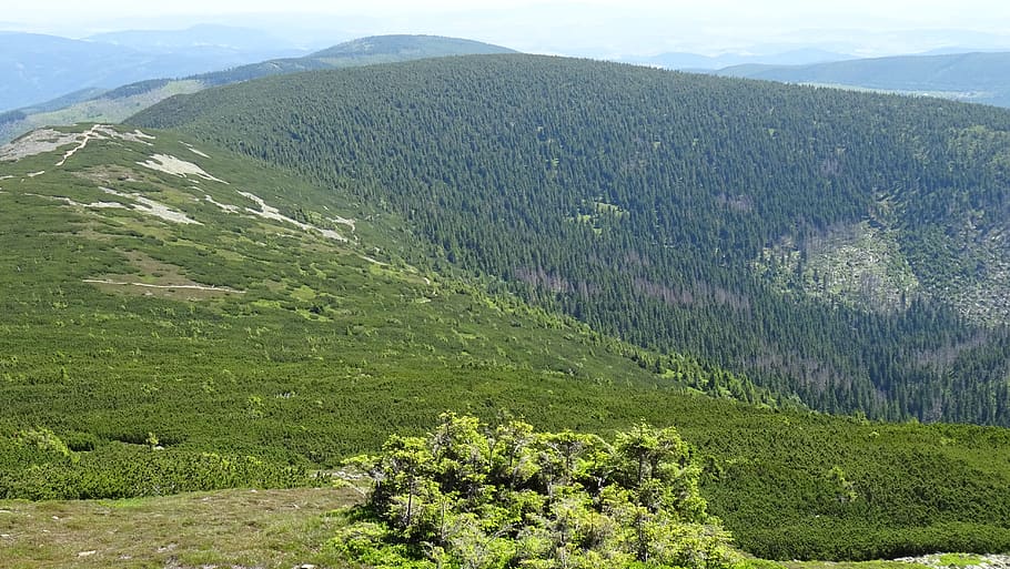 krkonoše giant mountains, mountains, nature, landscape, poland, tourism, mountain trekking, mountain hiking, view, hiking trails