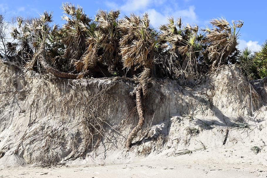 Erosión de playa, huracán Matthew, daños, paisaje, aire libre, cielo, océano, mar, naturaleza, medio ambiente